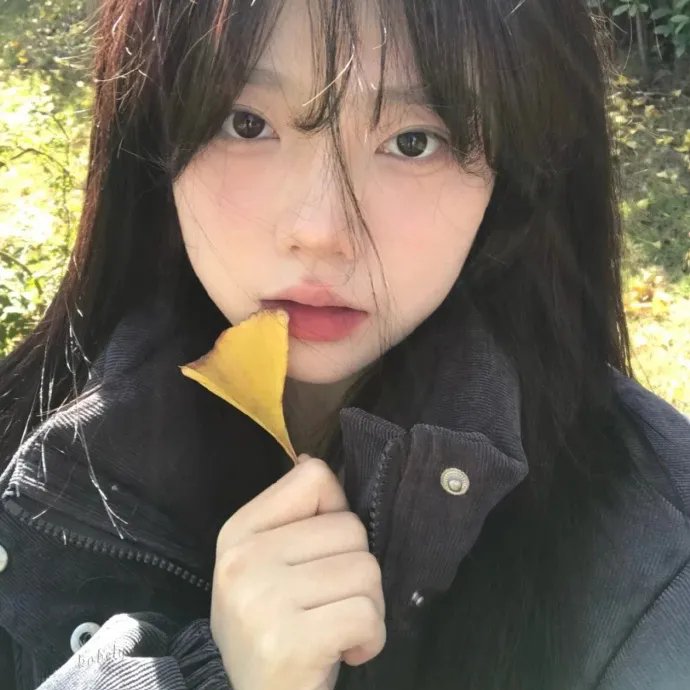 尽管雪落